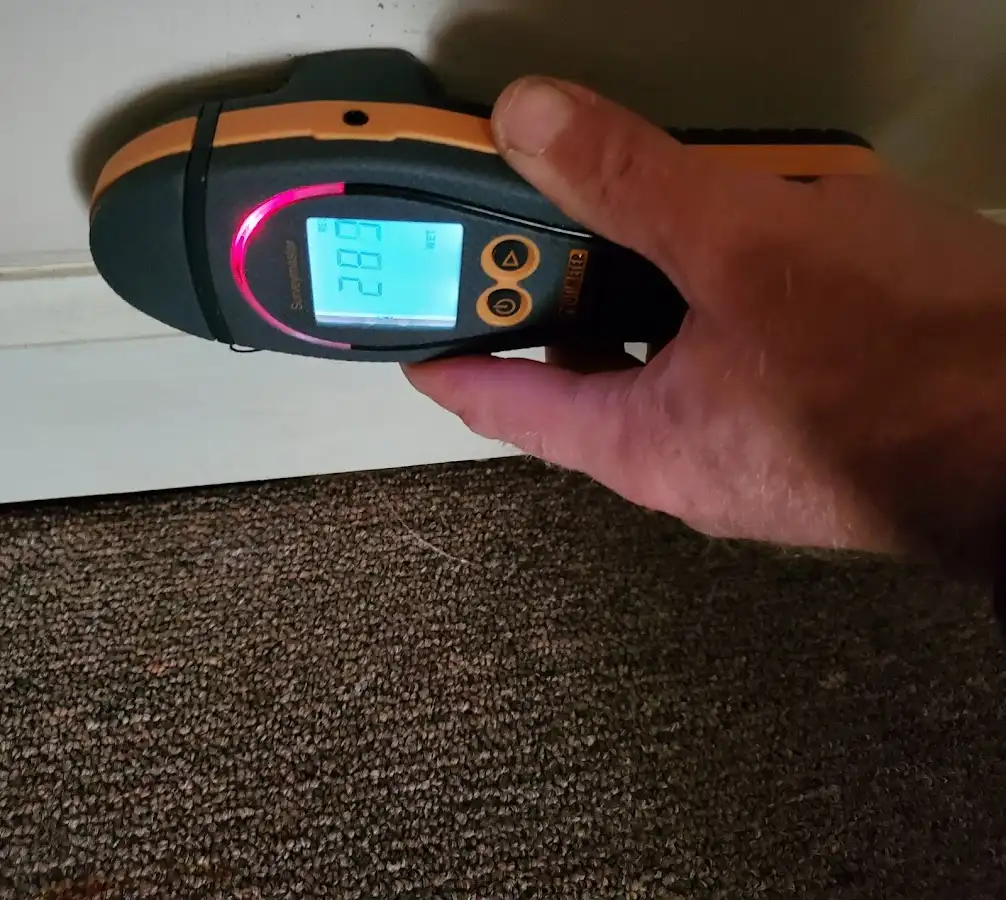 Moisture detection at baseboard during Sewage Cleanup & Sanitation in Kaufman